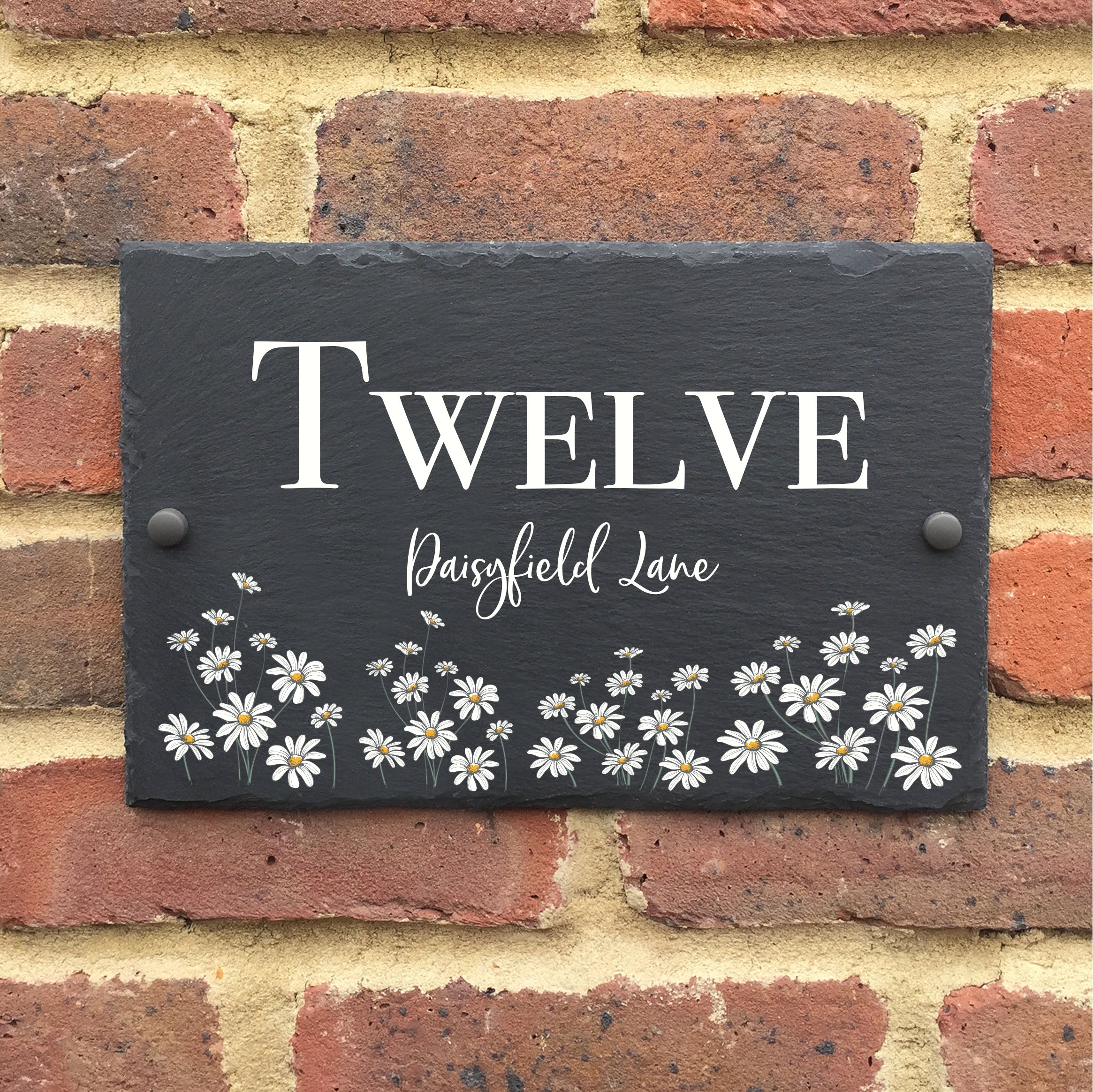 Daisy Slate - Apollo Printing