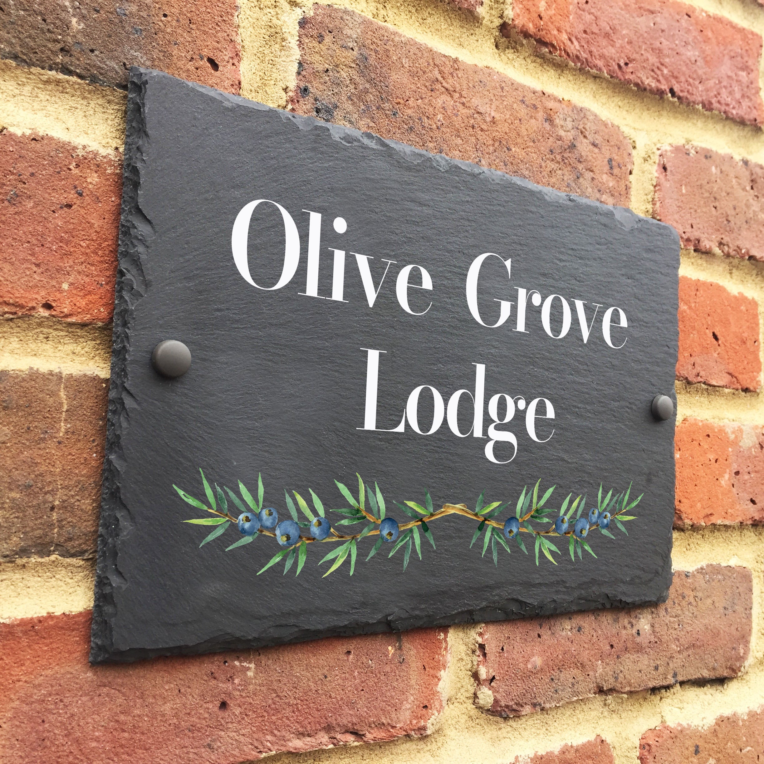 Olive Branches Slate - Apollo Printing
