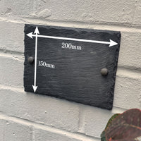Small Tree Silhouette Slate - Apollo Printing
